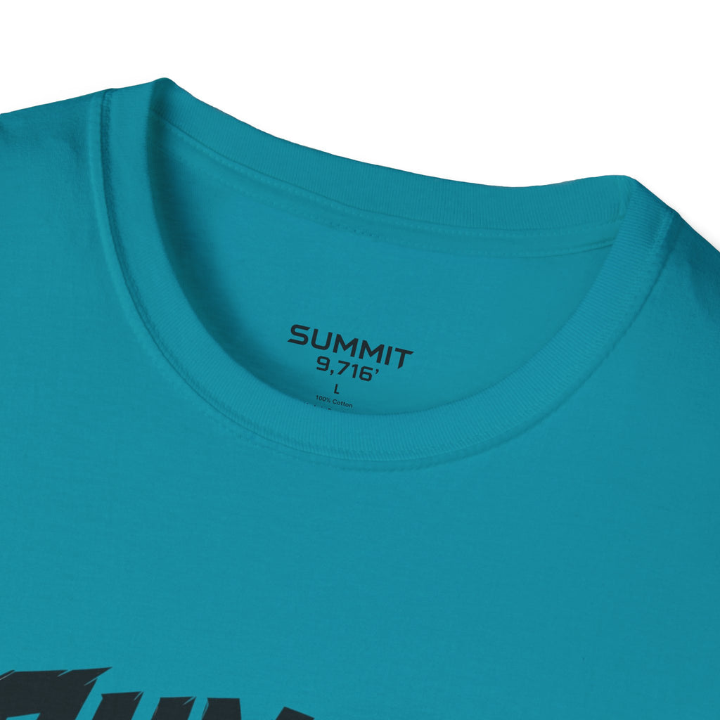 SUMMIT LOGO