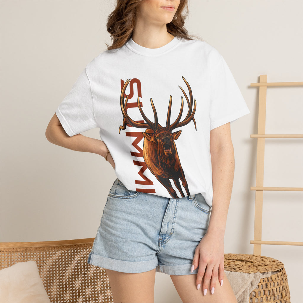 BOXY FIT - ELK/SUMMIT