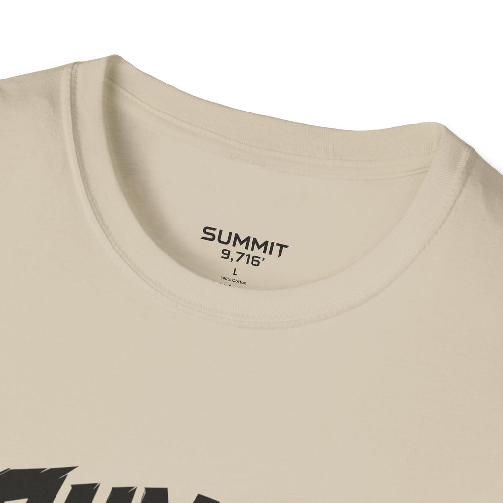 SUMMIT LOGO
